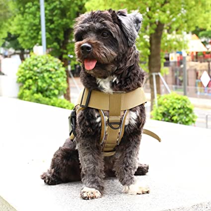 Tactical K9 Harness - Minimalist - Digi Forest Camo