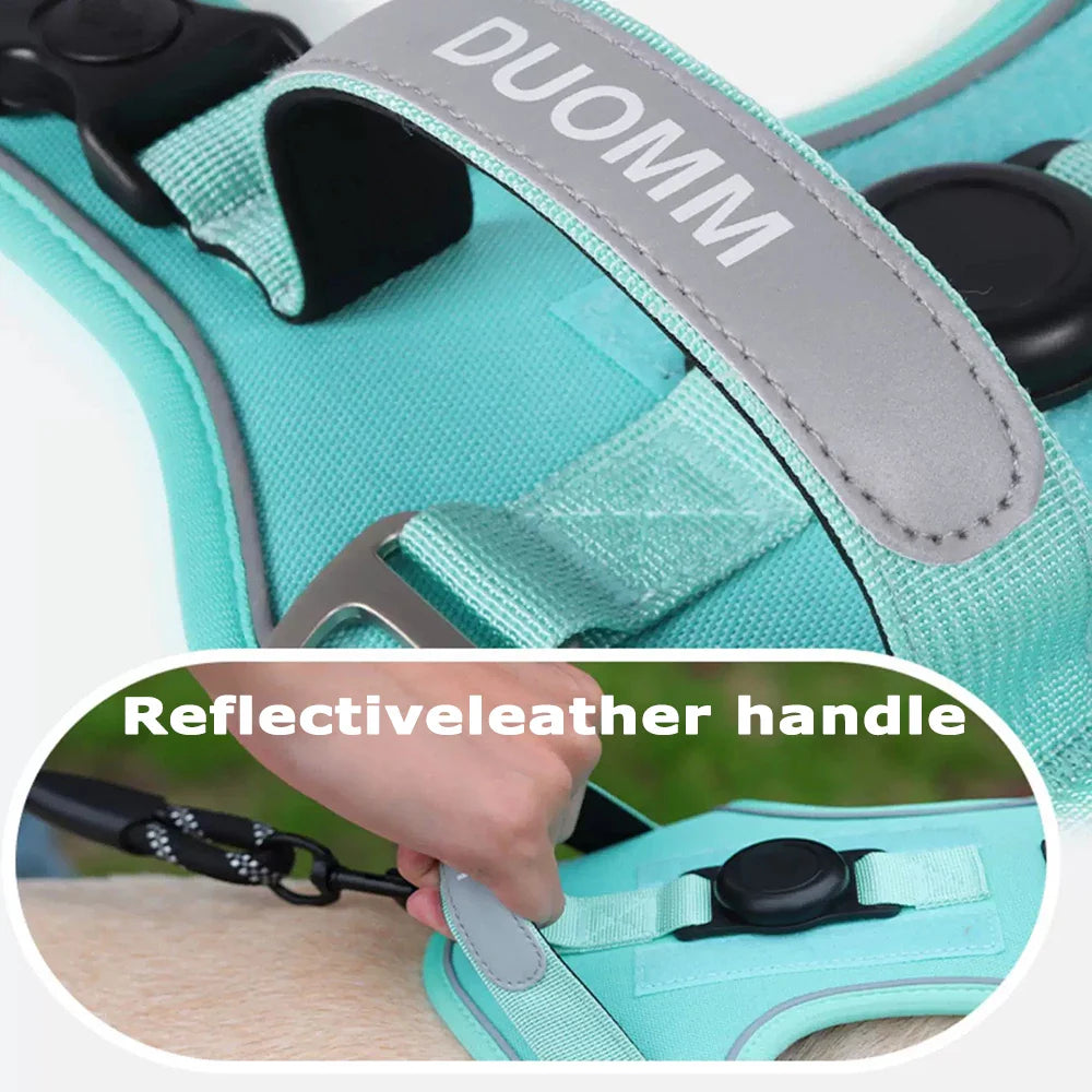 TrackSafe Reflective No-Pull Dog Harness & Leash Set